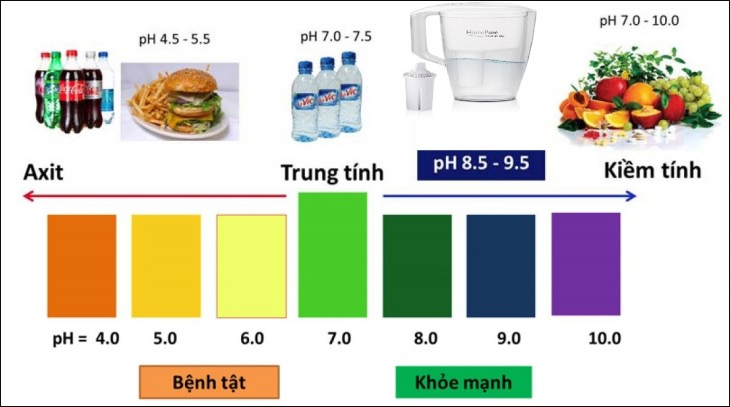 Môi trường kiềm giúp cơ thể trung hòa các yếu tố gây ra những căn bệnh nguy hiểm