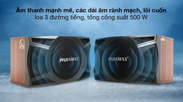 Cặp Loa Karaoke Paramax LX-120