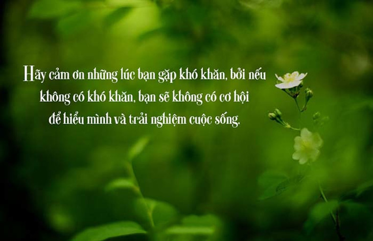 Những câu danh ngôn, châm ngôn cuộc sống sâu sắc nhất