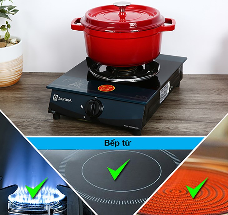 Nồi gang đúc 24 cm Rapido RK24-RD có thể sử dụng trên nhiều loại bếp khác nhau