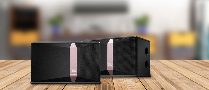 Cấu tạo và nguyên lý hoạt động của loa passive
