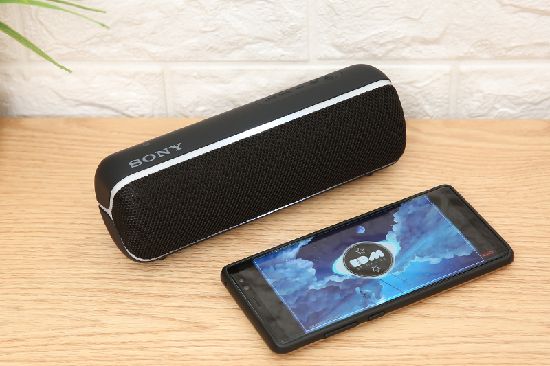 Loa Sony