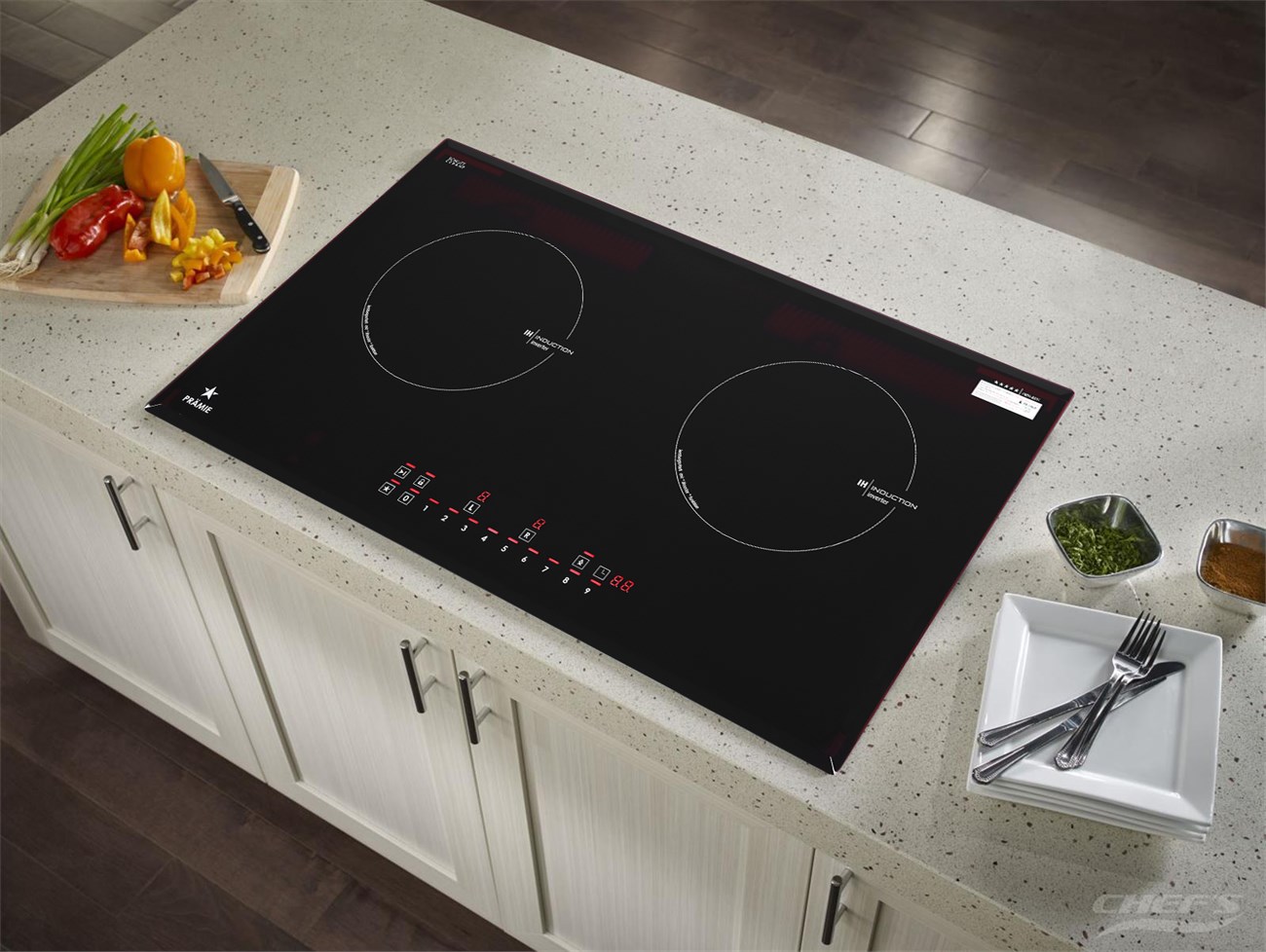 Bếp từ đôi Pramie 2205