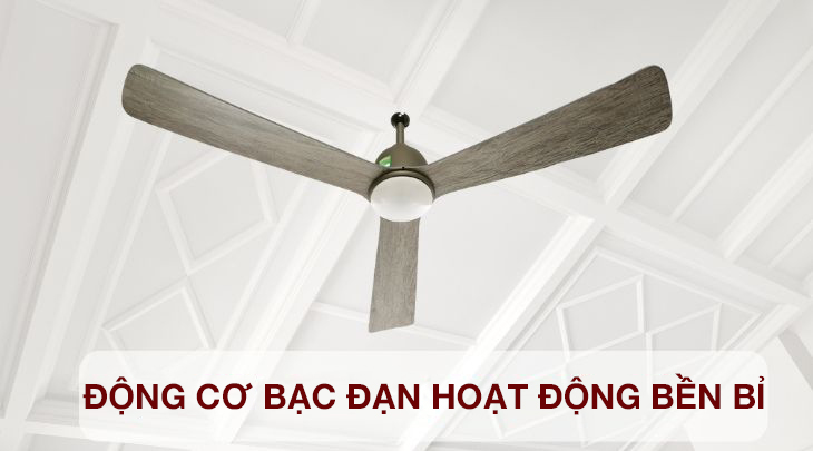 Động cơ bạc đạn