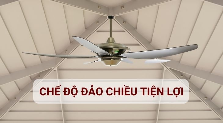 Quạt trần Mr.Vu Strong có chế độ xoay đảo chiều, giúp quạt ấm hơn vào mùa lạnh