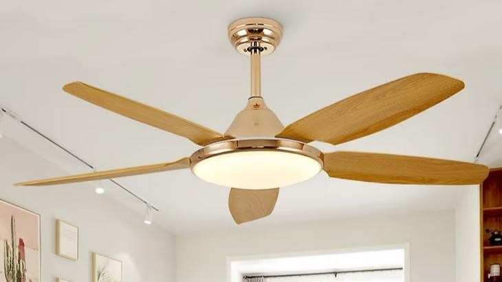 Quạt trần đèn có nhiều mẫu mã tối giản phù hợp cho không gian nhỏ