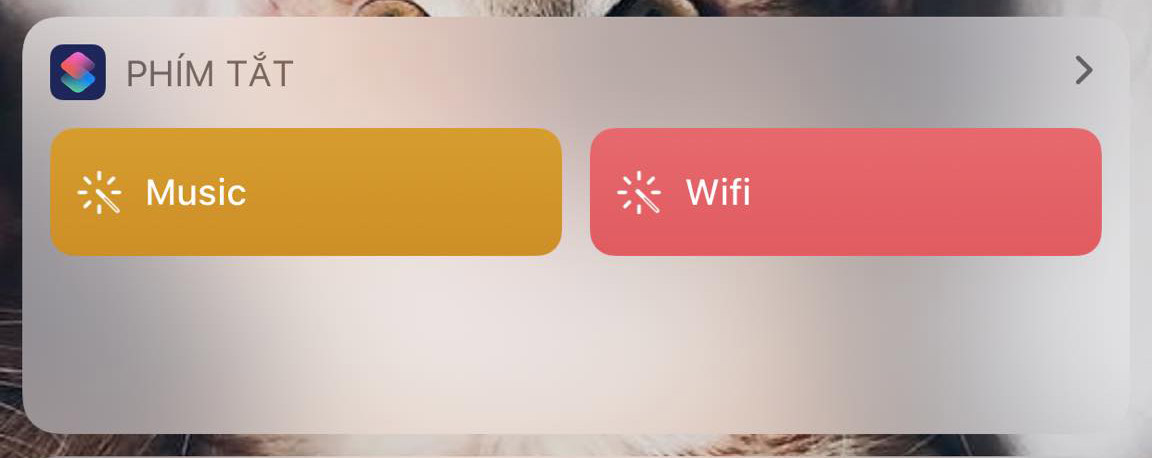 Siri shortcuts