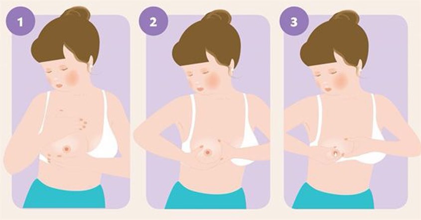 Vắt sữa bằng tay giúp mẹ bỉm cảm thấy thoải mái và tiết kiệm nhiều chi phí hơn phương pháp khác