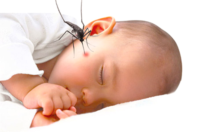 Lưới vợt bắt muỗi không khít