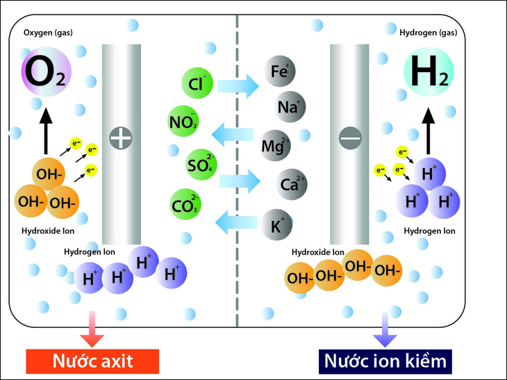 Nguyên lý hoạt động của tấm điện cực trong máy lọc nước ion kiềm