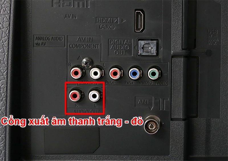 Cổng xuất âm thanh trắng đỏ trên tivi