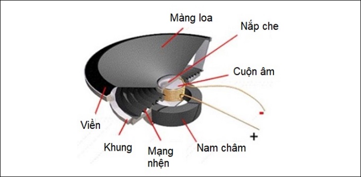 Cấu tạo của loa trung