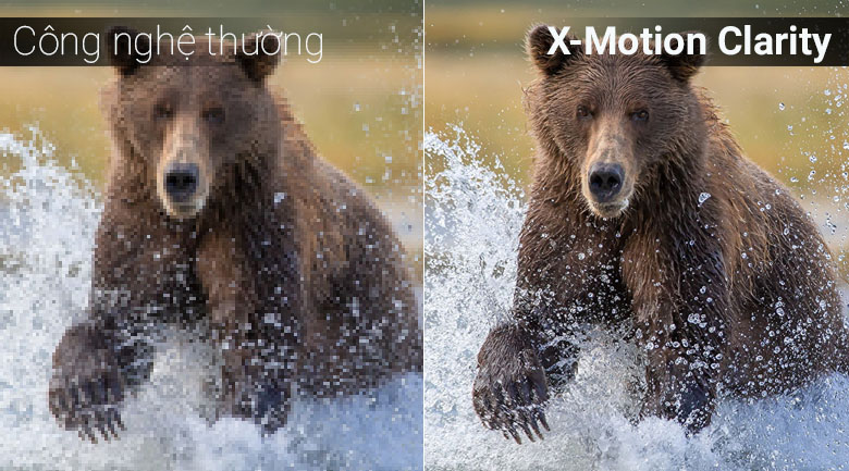 Công nghệ X-Motion Clarity trên tivi Sony 2018