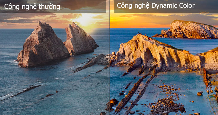 Dynamic Color