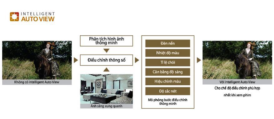 Hiệu chỉnh với chế độ Intelligent Auto View