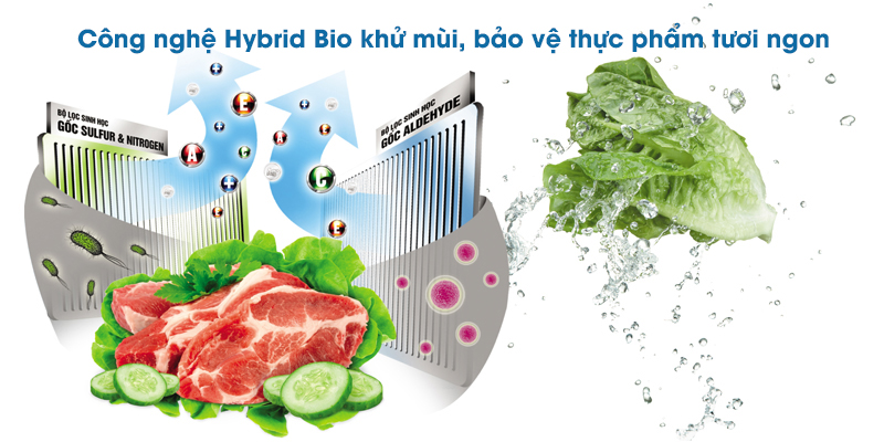 Công nghệ Hybrid Bio