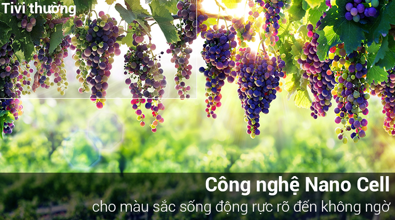 Công nghệ Nano Cell trên tivi LG UHD 2018