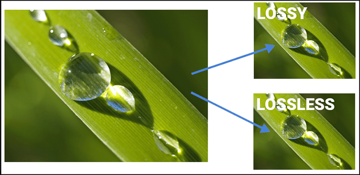 Nguyên vẹn (lossless) và bị mất dữ liệu (lossy)