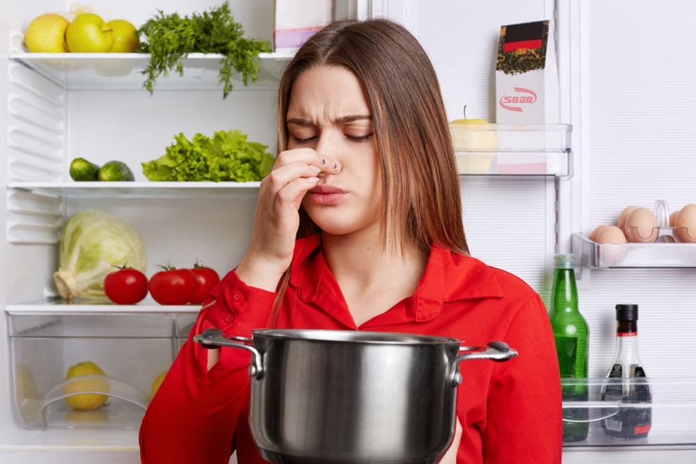 Tủ lạnh có mùi hôi bên trong do thức ăn bị hỏng hoặc khay đậy chưa kín