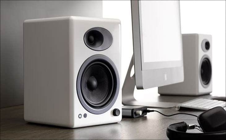 Bạn cần xác định rõ bộ phận bị hỏng bên trong củ loa