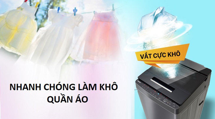 Vắt cực khô