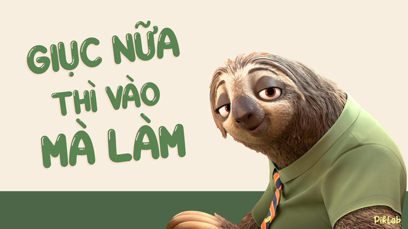 Hình ảnh Flash ngồi làm việc rất được dân văn phòng yêu thích chế ảnh làm meme