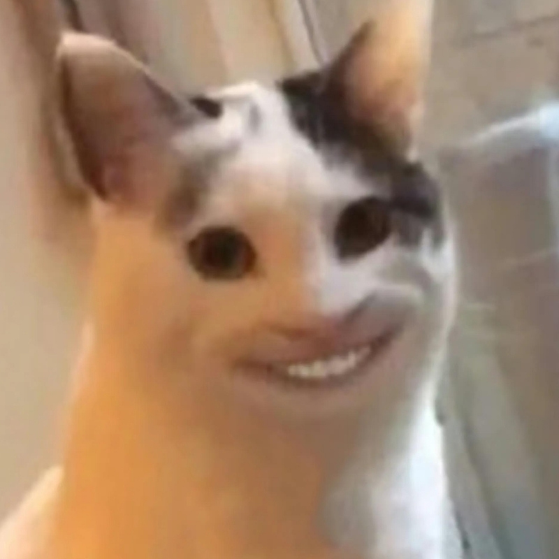 Tuyển chọn meme mèo cười nhe răng cực vui, thích hợp dùng khi gặp chuyện hài hước, giải trí