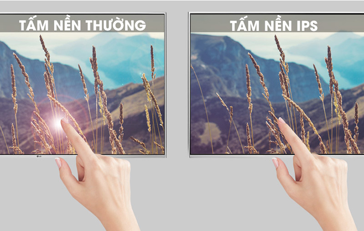 Tấm nền 4K IPS