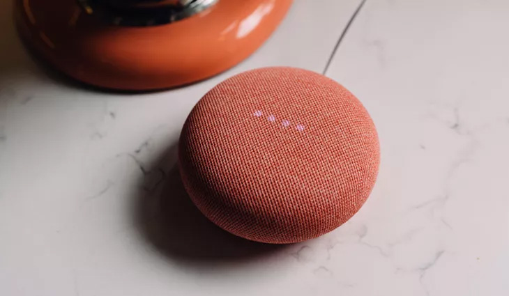 Google Nest Mini
