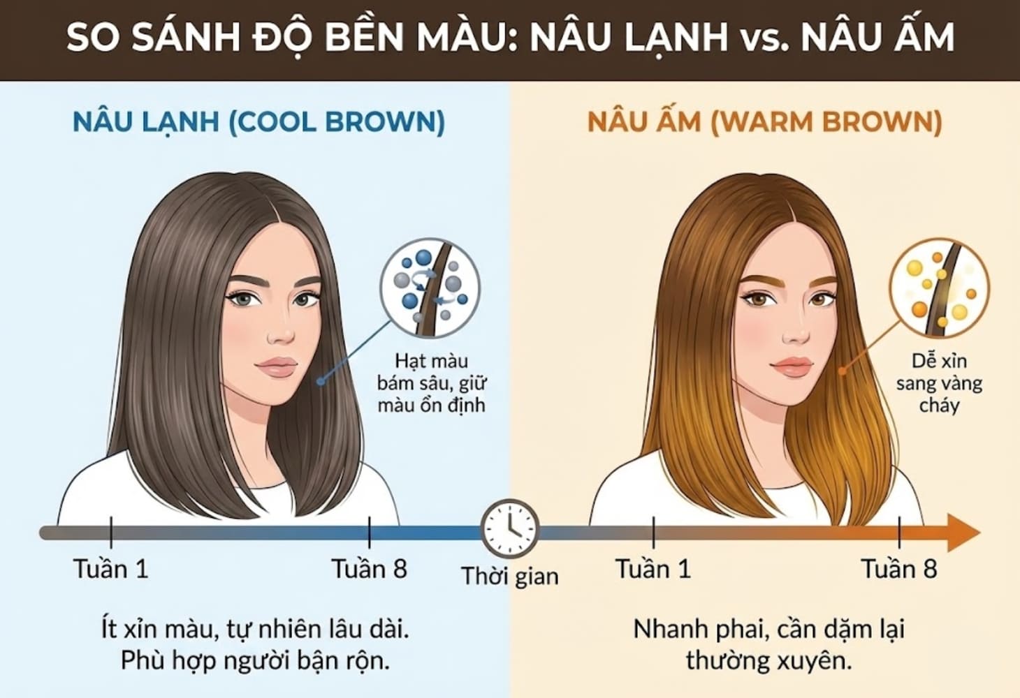 Màu nâu lạnh có độ bền màu theo thời gian, giúp bạn tiết kiệm chi phí dặm màu lại