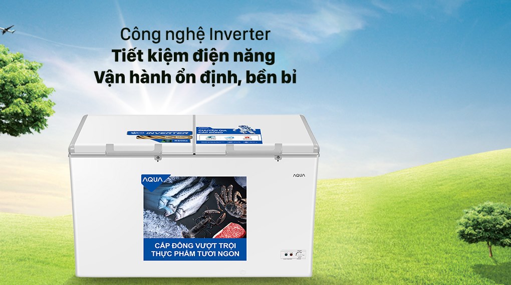 Cách chọn mua tủ đông tiết kiệm điện