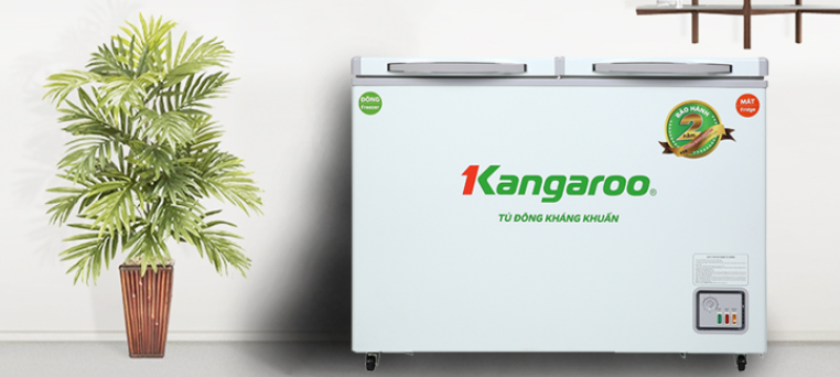 Tủ đông mềm Kangaroo 252 lít KG 408S2