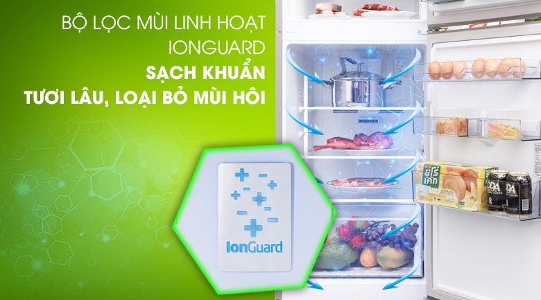 Mang lại không khí tươi mát, loại bỏ vi khuẩn nhờ công nghệ Ion Guard