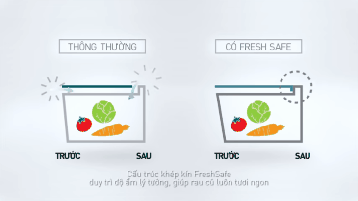 Ngăn bảo quản thực phẩm Fresh Safe