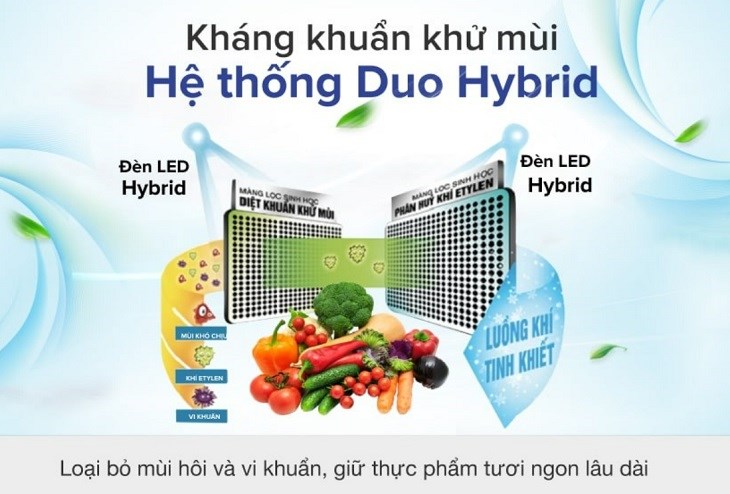 Tủ lạnh Toshiba Inverter 608 lít GR-AG66VA (XK) được tích hợp hệ thống khử mùi, diệt khuẩn Duo Hybrid