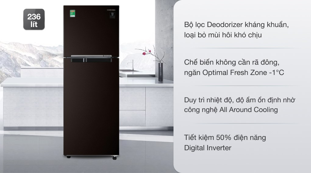Tủ lạnh Samsung Inverter 236 lít RT22M4032BY/SV có ngăn đông mềm hiện đại