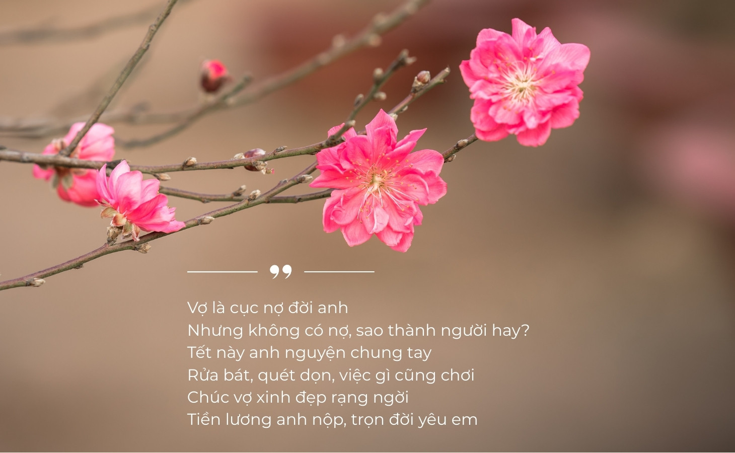 Thơ chúc Tết vợ