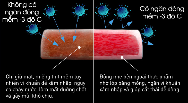 Sự khác biệt của Ngăn đông mềm -3 độ C