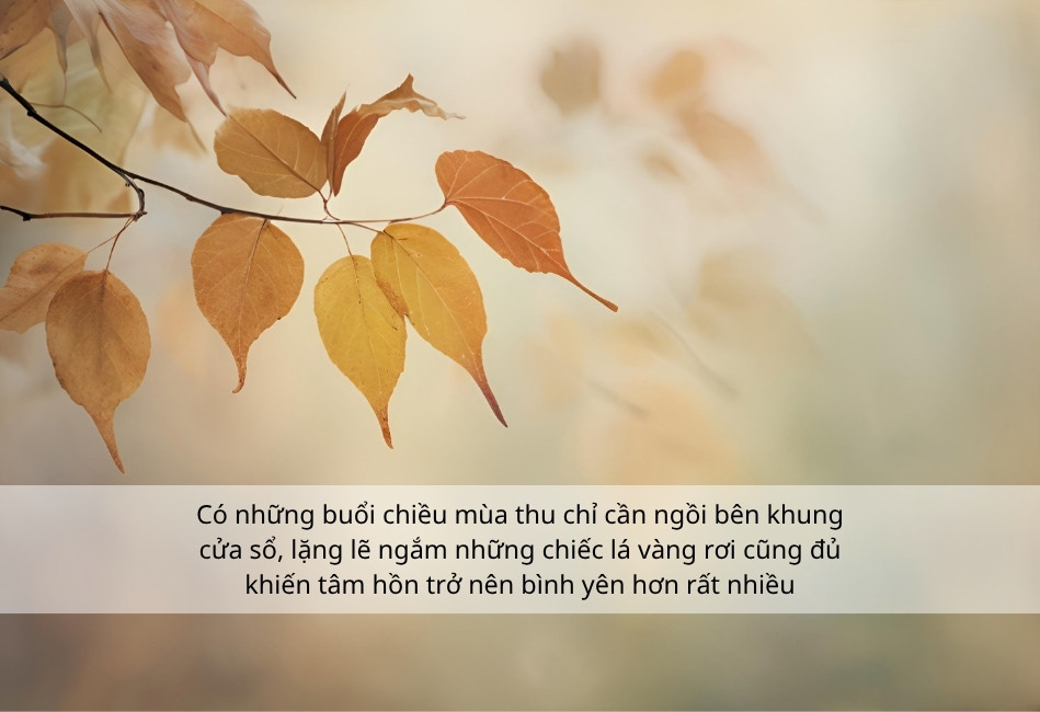 STT mùa thu ngắn gọn nhưng đầy cảm xúc