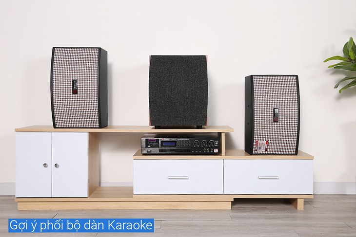 Cặp Loa Karaoke Boston Acoustic Classic 8 sở hữu thiết kế sang trọng, hiện đại hài hòa nhiều không gian lắp đặt