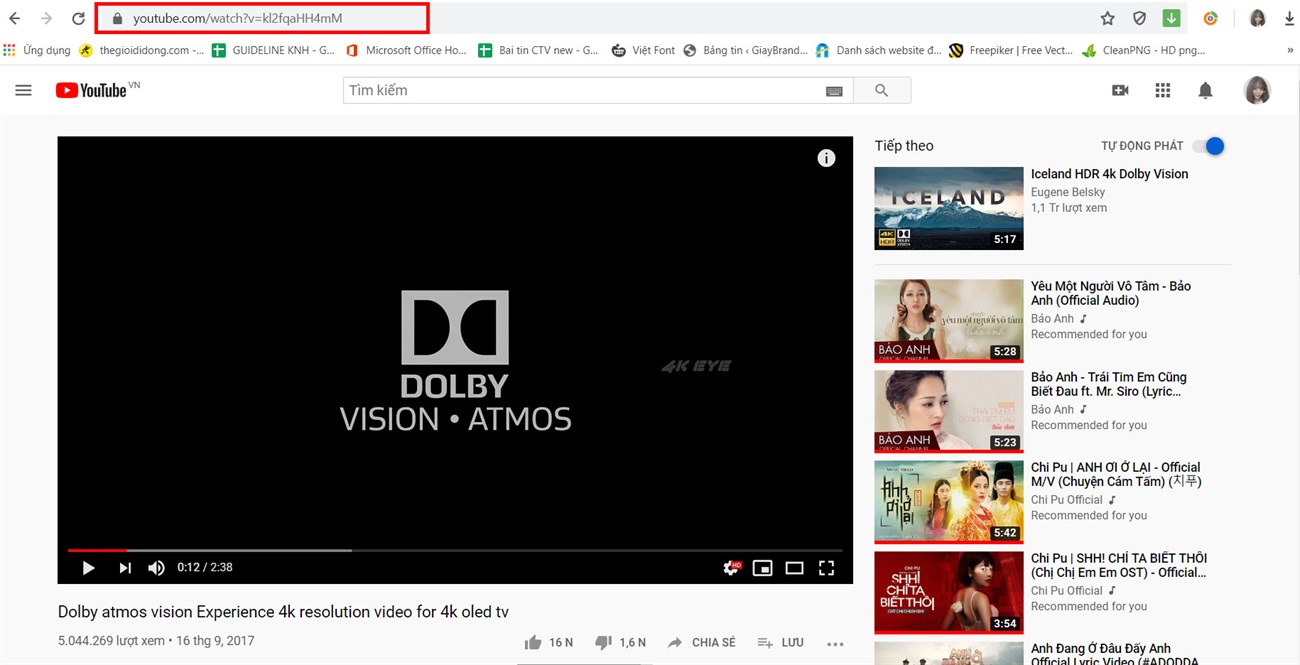 sao chép URL từ youtube
