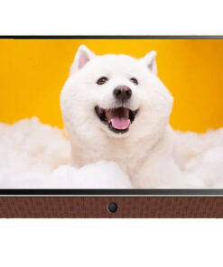 Google Tivi Xách Tay Coocaa FHD 24 Inch 24LP6000G