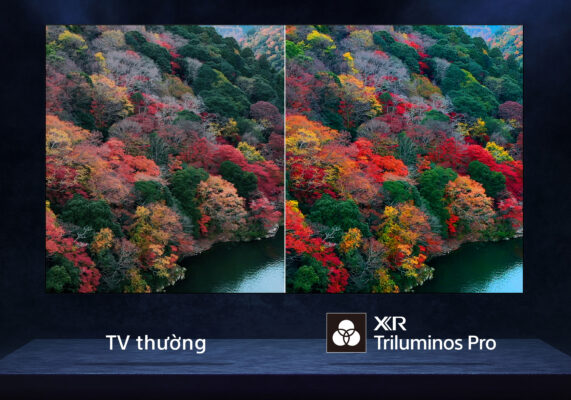 3_xr_triluminos_pro-571x400-2