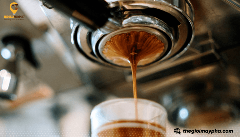 7 lỗi thường gặp ở máy ép trái cây và cách khắc phục nhanh, dễ làm tại nhà
