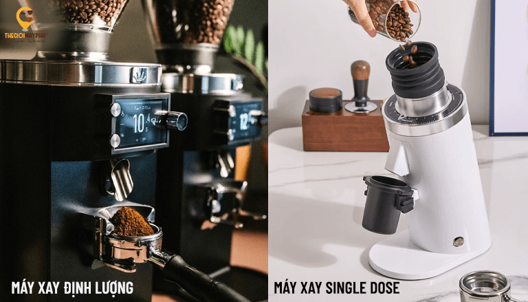 Máy xay cà phê nào phù hợp cho quán specialty? Hướng dẫn lựa chọn từ A đến Z