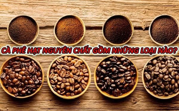 ca-phe-hat-nguyen-chat-gom-nhung-loai-nao