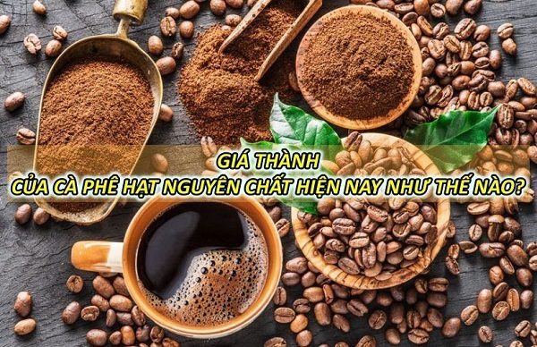 gia-ca-phe-hat-nguyen-chat