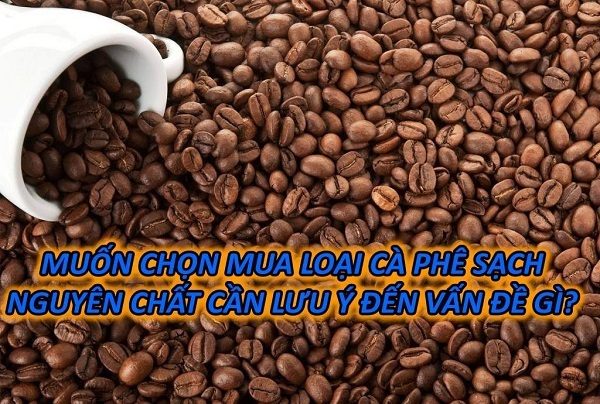 luu-y-gi-khi-mua-ca-phe-nguyen-chat