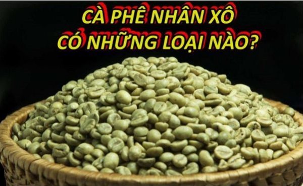 ca-phe-nhan-xo-co-nhung-loai-nao