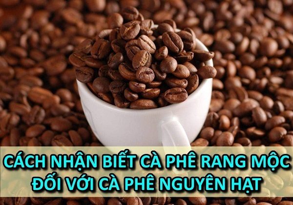 cach-nhan-biet-ca-phe-rang-moc-voi-ca-phe-nguyen-hat
